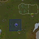 Glowing wisp location