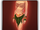 Grass skirt icon (female).png