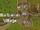 Gunnarsgrunn