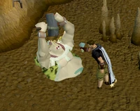 Killing an ogre shaman