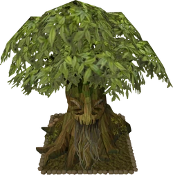 Spirit tree12.png