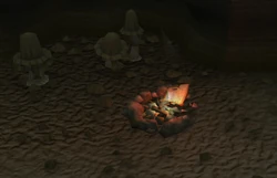 The fire remains with a page from a diary.