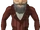 Gnome traveller