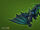 Win a Limited Edition Shadow Drake Pet