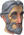 Lanthus chathead.png
