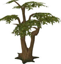 Tree.png