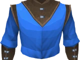 Wizard robe top