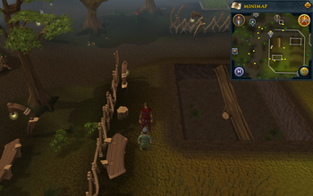 Cryptic clue Tree Gnome Stronghold gnome trainer.png