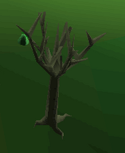 Golden pear bush.png
