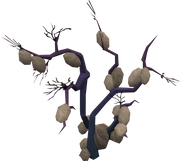 Big Chinchompa tree