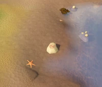 Hidey-hole Mudskipper Point