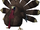 Turkey (2009 Thanksgiving event)