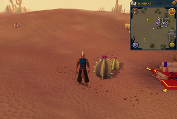 Cryptic clue Nardah cacti.png