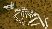 Digsite buried skeleton