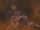 Zemouregal-flames.png
