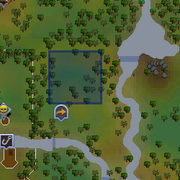 Location of the jade vine maze