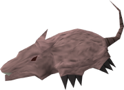 Brine rat