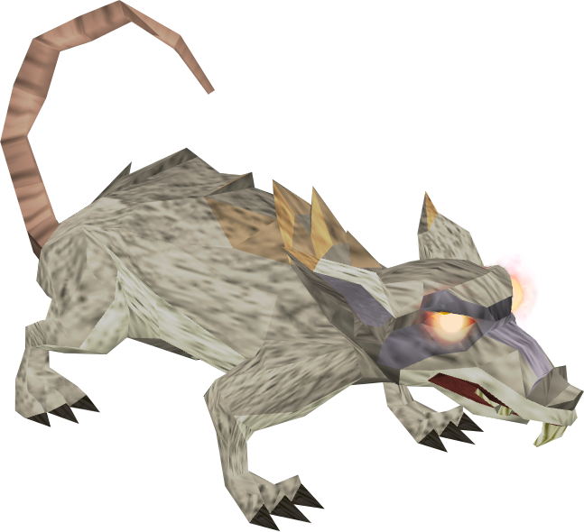 Rat - The RuneScape Wiki