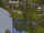 Elder tree (Draynor Village) location.png