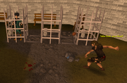A player is trapped in the Yanille pillory.