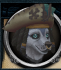 The chathead for the Pirate Outfit Lorehound