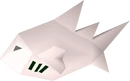 Raw tuna detail