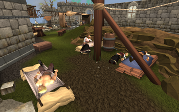 Lumbridge wounded camp