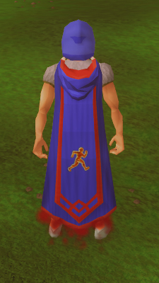 Agility - The RuneScape Wiki