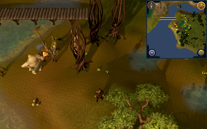 treasure trails guide compass