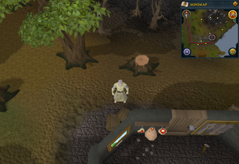 Cryptic clue railings.png