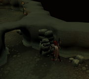 Sealing the Dagannoth's chamber