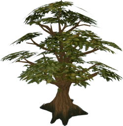 A Grande Árvore, RuneScape Wiki