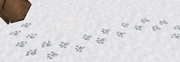 Tracks.png