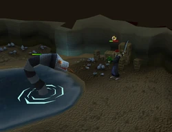 Attack of the sea snake!