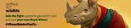 Royal Rhino hunting lobby banner