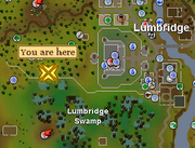 Evil Tree (Lumbridge Swamp) location