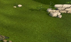 NXT Ground decoration Off.png (325 KB) The ground with decoration turned off