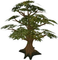 Oak tree.png