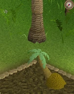 Click for a larger image.