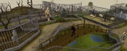 Ardougne-zoo