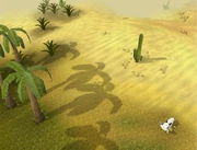 Het woestijnklimaat.