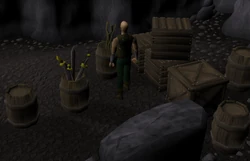 Lundail's Arena-side Rune Shop