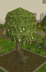 Click for a larger image