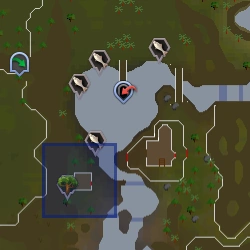 Otto's Grotto | RuneScape Wiki | Fandom