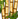 Bamboo icon