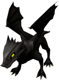 Baby black dragon