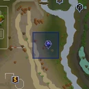 Brilliant wisp location