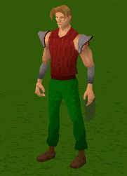 When you get through Rogues Den and the cracked safe gives you a Rogues Kit  : r/2007scape