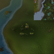 Druid pouch 8-item location.png