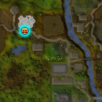 North of Lumbridge